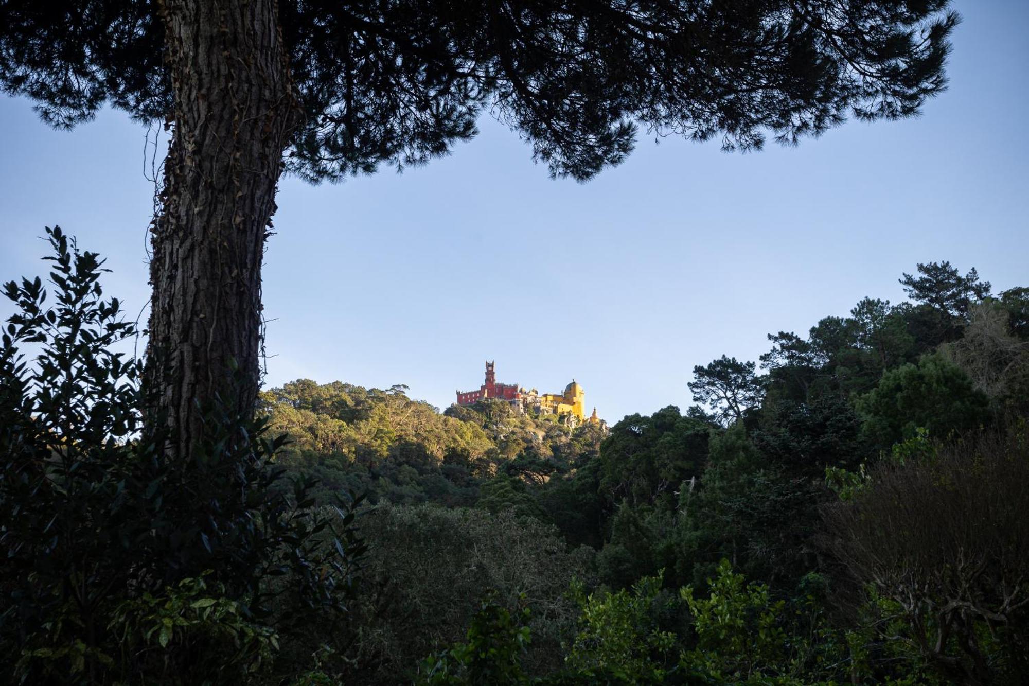 Chalet Chapeu De Sol - Sintra Eksteriør bilde