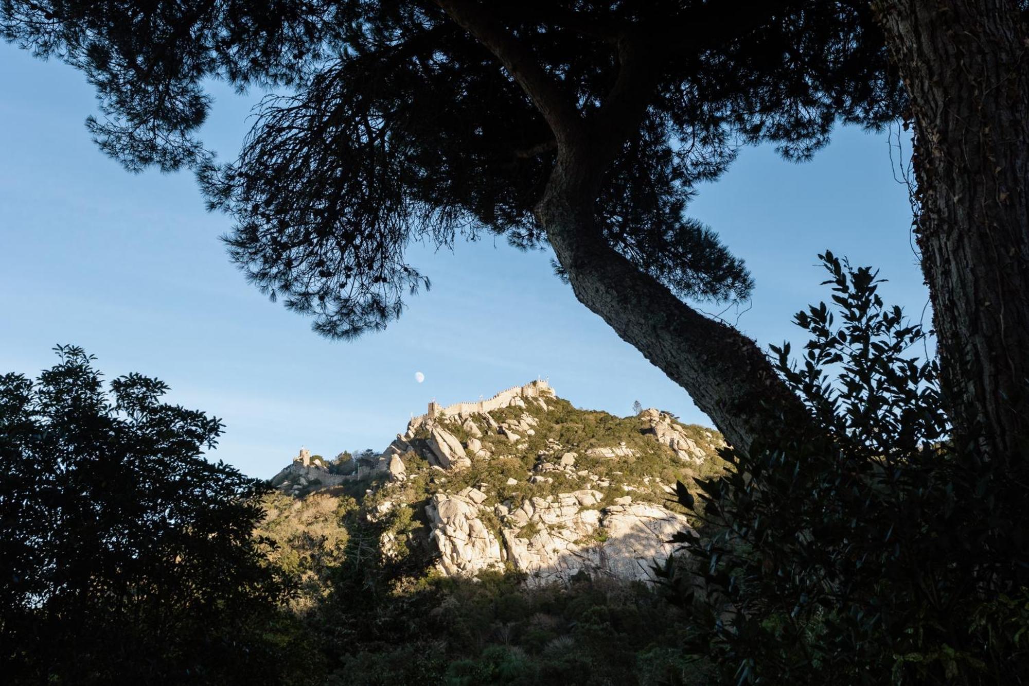 Chalet Chapeu De Sol - Sintra Eksteriør bilde